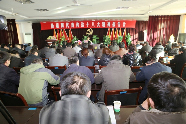 十八大代表?xiàng)钊疠x宣講十八大精神