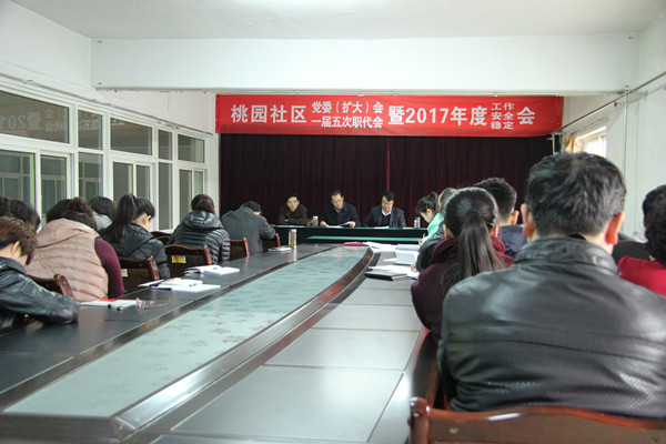 桃園社區(qū)工作會
