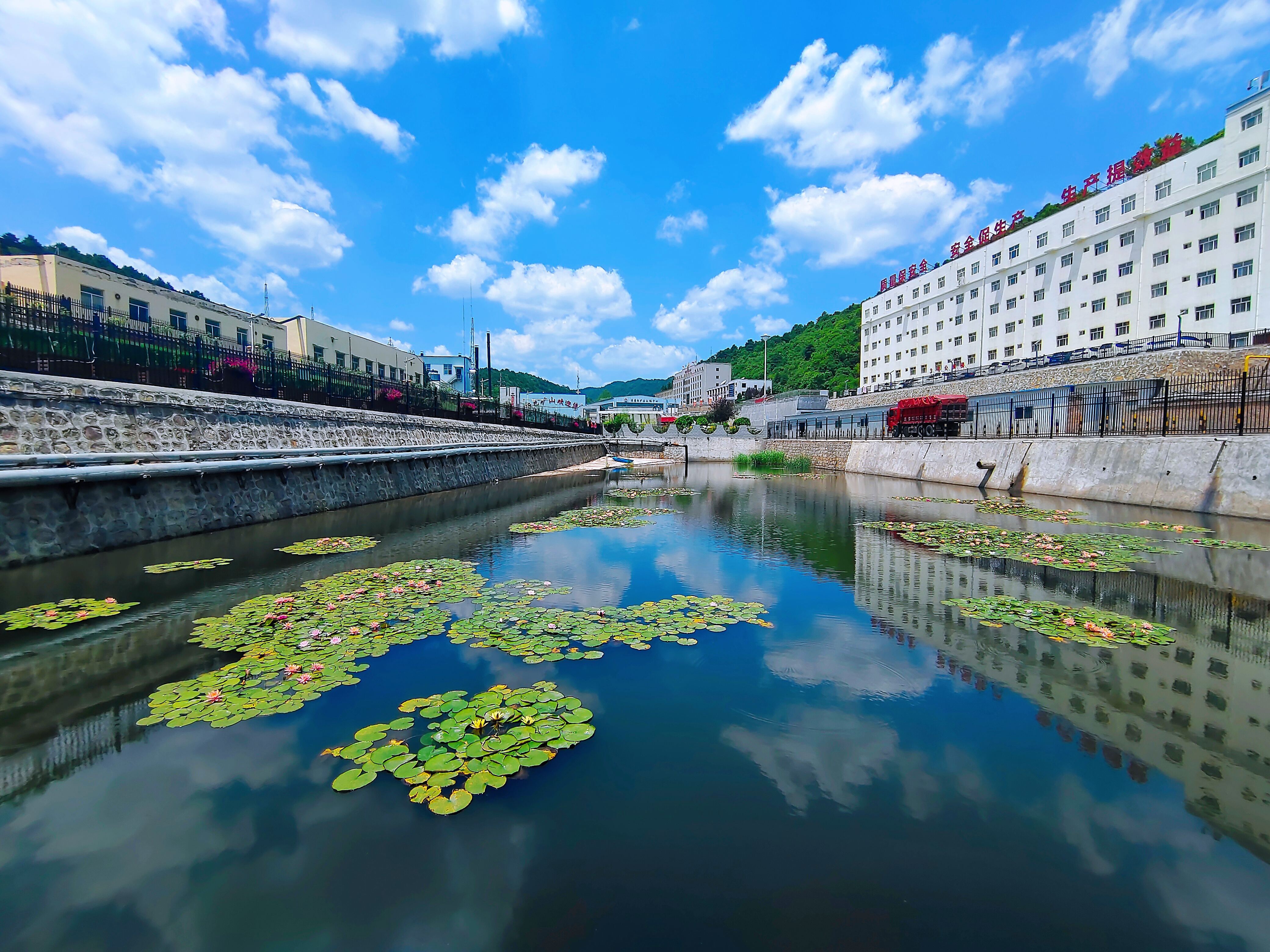 礦區(qū)的清水池內(nèi)，翠綠水草在水面搖曳。