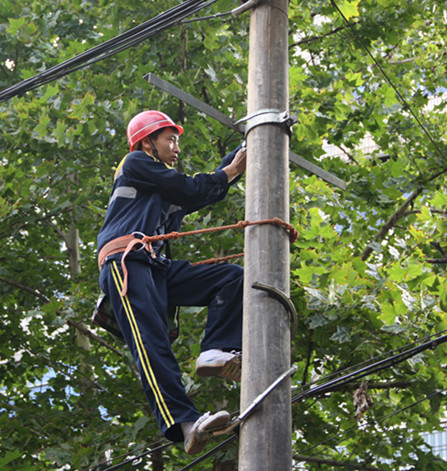 架設(shè)橫擔(dān)